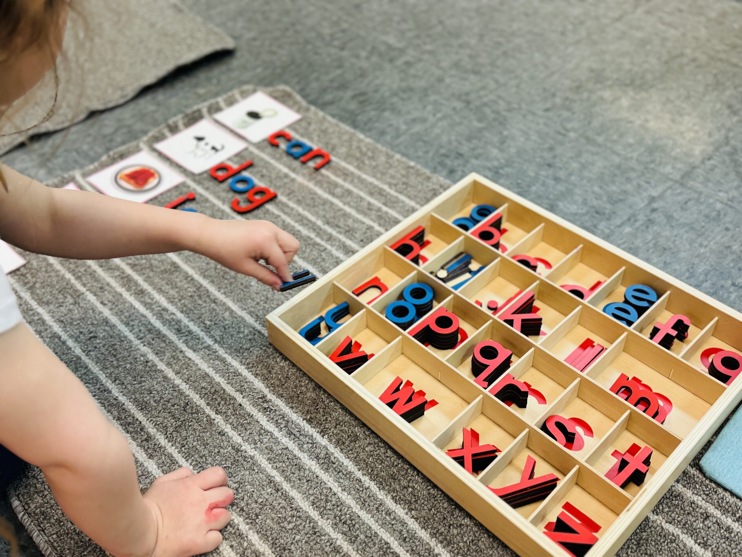 Moveable Alphabet